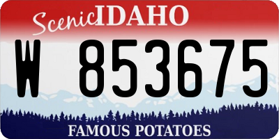 ID license plate W853675