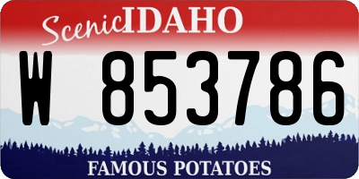 ID license plate W853786