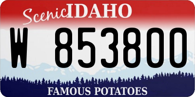 ID license plate W853800
