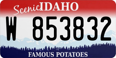 ID license plate W853832