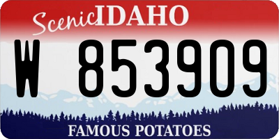 ID license plate W853909