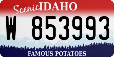 ID license plate W853993