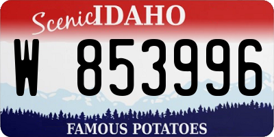 ID license plate W853996