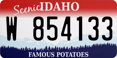 ID license plate W854133