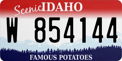 ID license plate W854144
