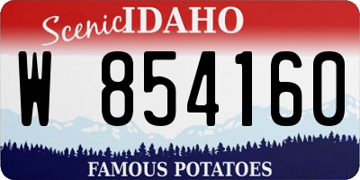 ID license plate W854160