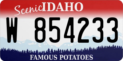 ID license plate W854233