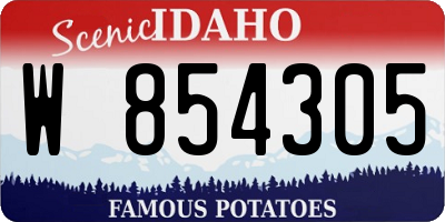ID license plate W854305