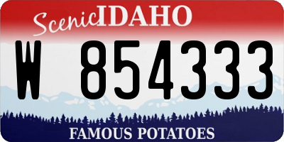 ID license plate W854333