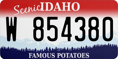 ID license plate W854380