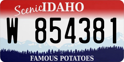 ID license plate W854381