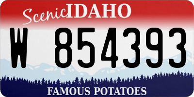 ID license plate W854393