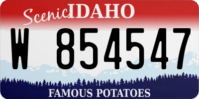 ID license plate W854547