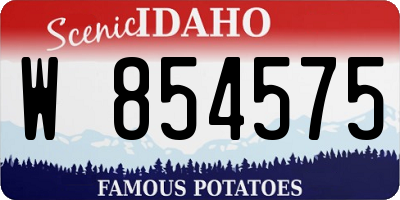 ID license plate W854575