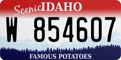 ID license plate W854607