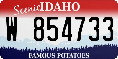 ID license plate W854733