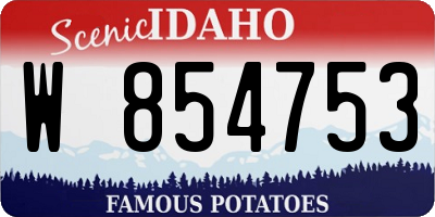 ID license plate W854753