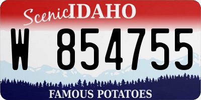ID license plate W854755