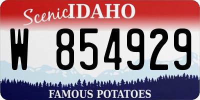 ID license plate W854929