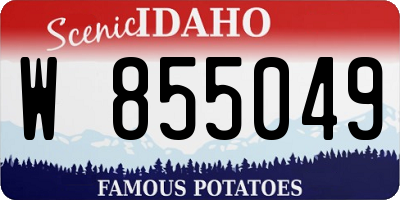 ID license plate W855049