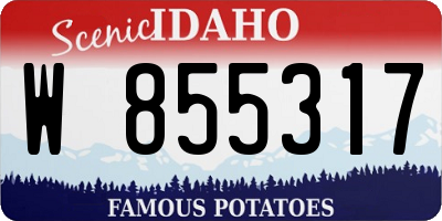 ID license plate W855317