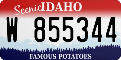ID license plate W855344