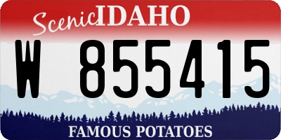 ID license plate W855415