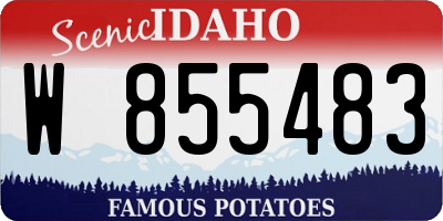 ID license plate W855483