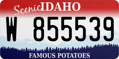 ID license plate W855539