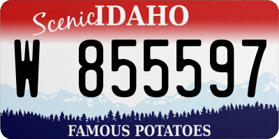 ID license plate W855597