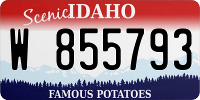 ID license plate W855793