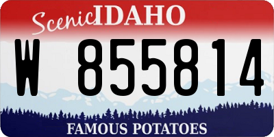 ID license plate W855814