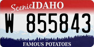 ID license plate W855843