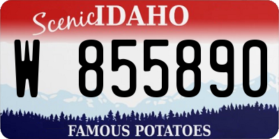 ID license plate W855890