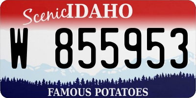 ID license plate W855953