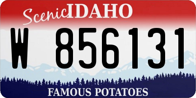ID license plate W856131