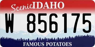 ID license plate W856175