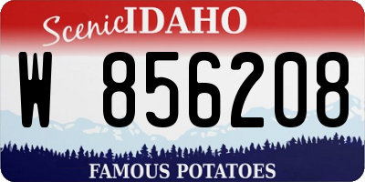 ID license plate W856208