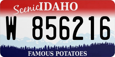 ID license plate W856216