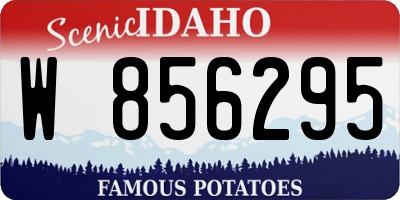 ID license plate W856295