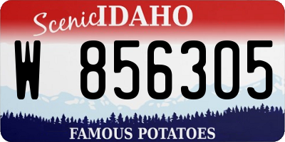 ID license plate W856305
