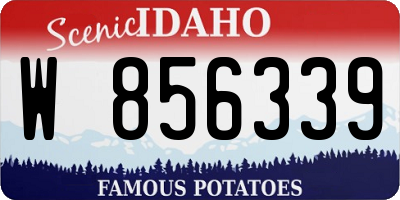 ID license plate W856339