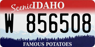 ID license plate W856508