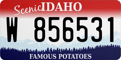 ID license plate W856531