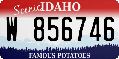 ID license plate W856746