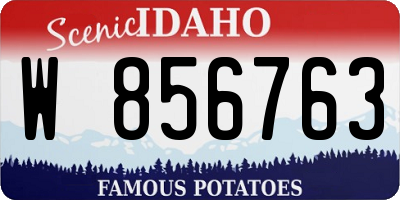 ID license plate W856763