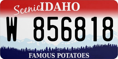 ID license plate W856818