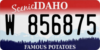 ID license plate W856875
