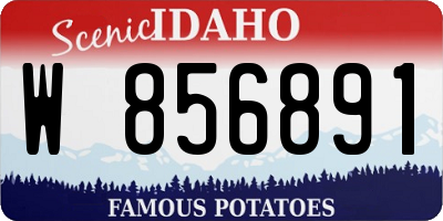 ID license plate W856891
