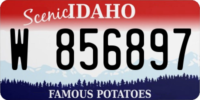 ID license plate W856897